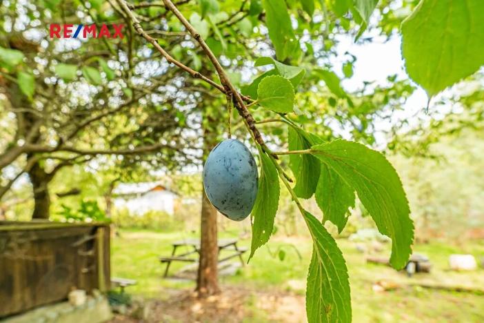 Prodej zahrady, Praha, 489 m2