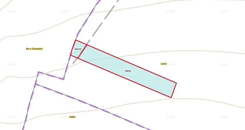 Prodej pole, Lozice, 10021 m2
