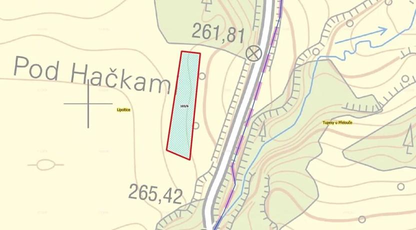 Prodej pole, Lipoltice, 2445 m2