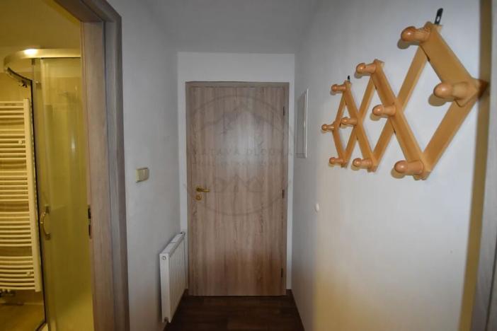 Pronájem bytu 1+kk, Bělá pod Pradědem, 29 m2