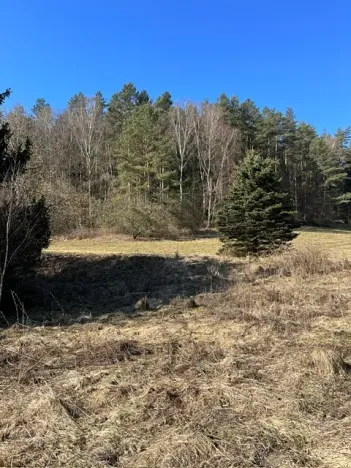 Prodej pozemku pro bydlení, Všelibice, 5083 m2