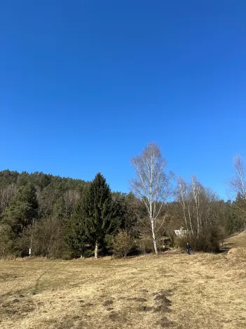 Prodej pozemku pro bydlení, Všelibice, 5083 m2