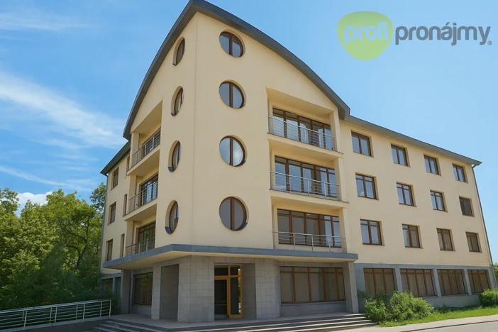 Pronájem skladu, Vyškov, Palánek, 280 m2