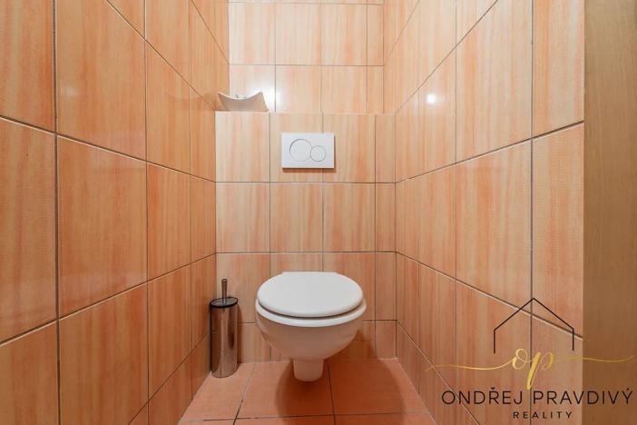 Prodej činžovního domu, Lety, Sokolská, 265 m2