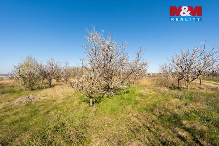 Prodej zahrady, Dobšice, 2462 m2