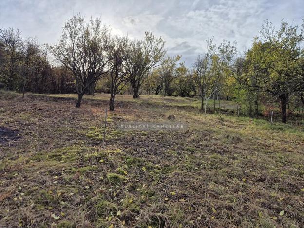 Prodej zahrady, Židlochovice, 1185 m2