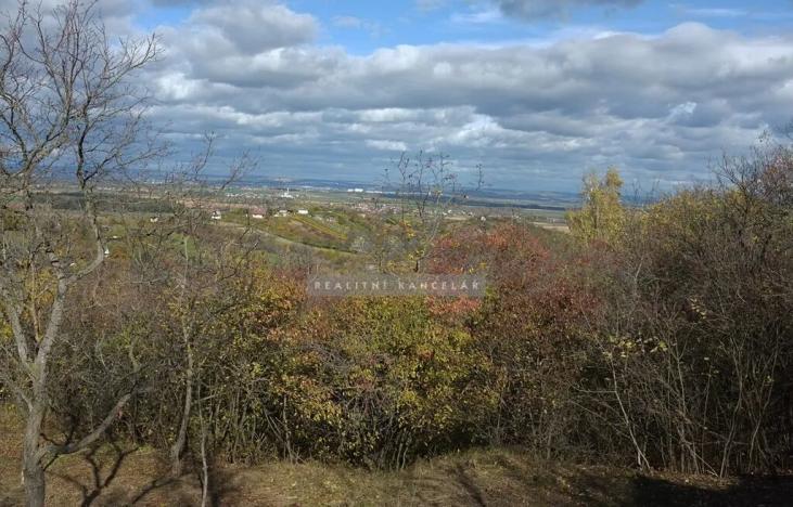 Prodej chaty, Židlochovice, 27 m2