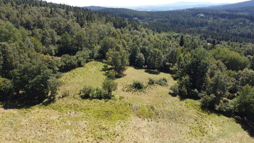 Prodej pole, Strašín, 33901 m2