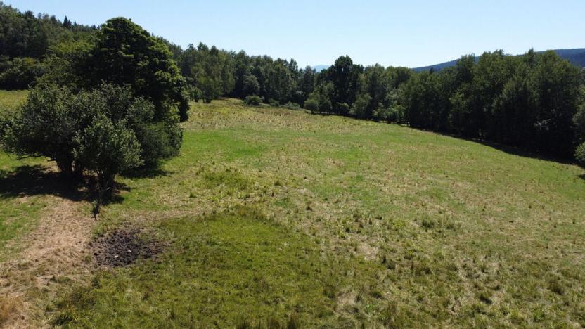 Prodej pole, Strašín, 33901 m2