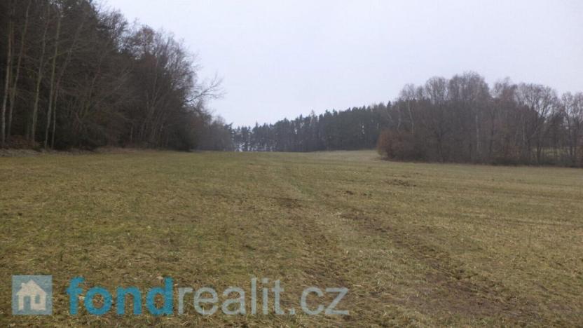 Prodej pole, Zvěstov, 51947 m2