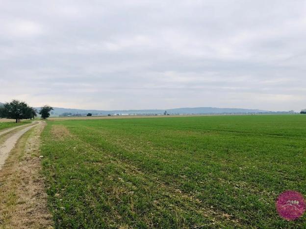 Prodej pole, Štarnov, 19934 m2