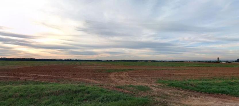 Prodej pole, Tupadly, 880 m2