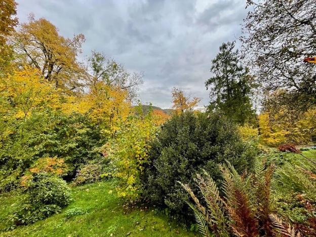 Prodej rodinného domu, Malá Skála, 37 m2