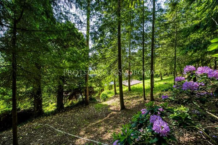 Prodej ubytování, Mnichovice, Nad rybníkem, 312 m2