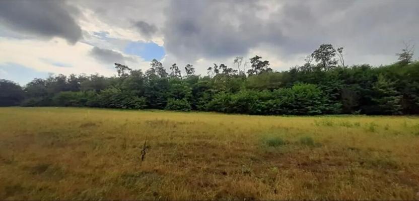 Prodej lesa, Týnec nad Labem, 7501 m2