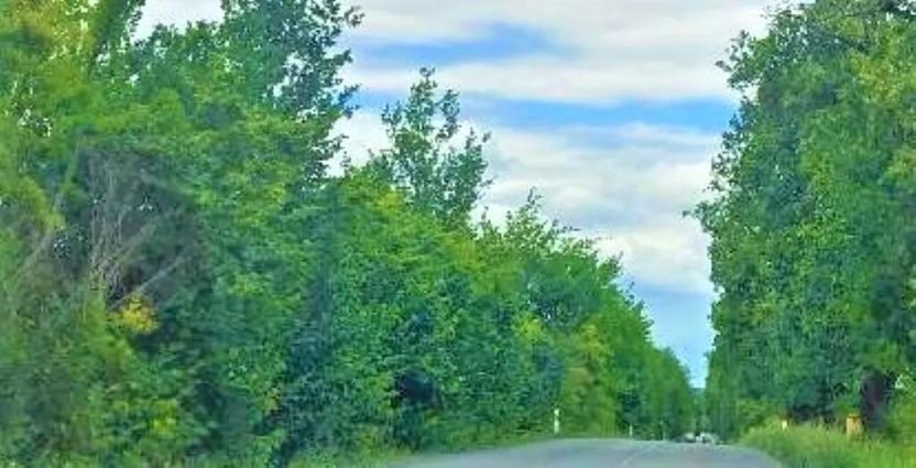 Prodej komerčního pozemku, Měšice, 2035 m2