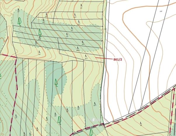 Dražba lesa, Moravské Budějovice, 834 m2