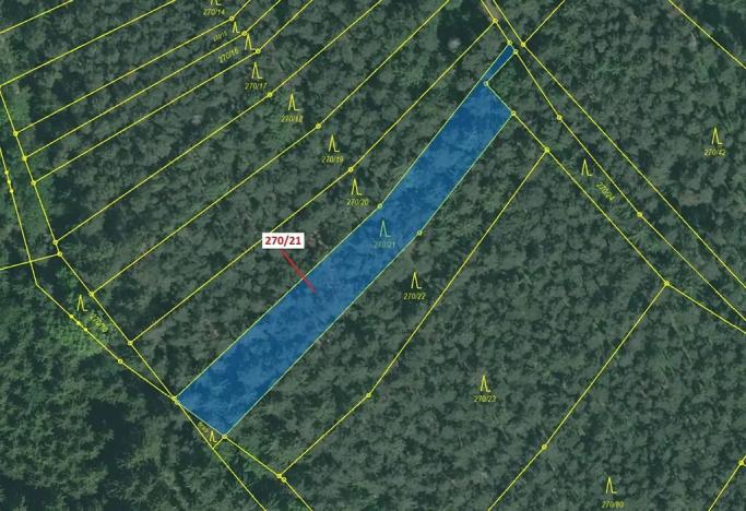 Dražba lesa, Milavče, 1537 m2