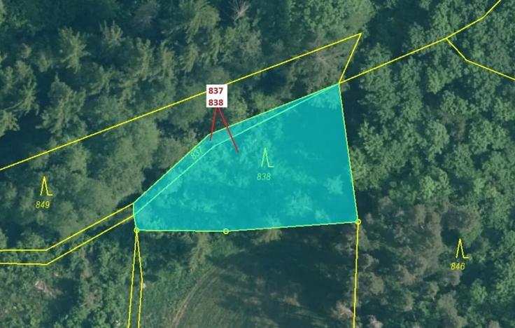 Dražba lesa, Pačejov, 999 m2