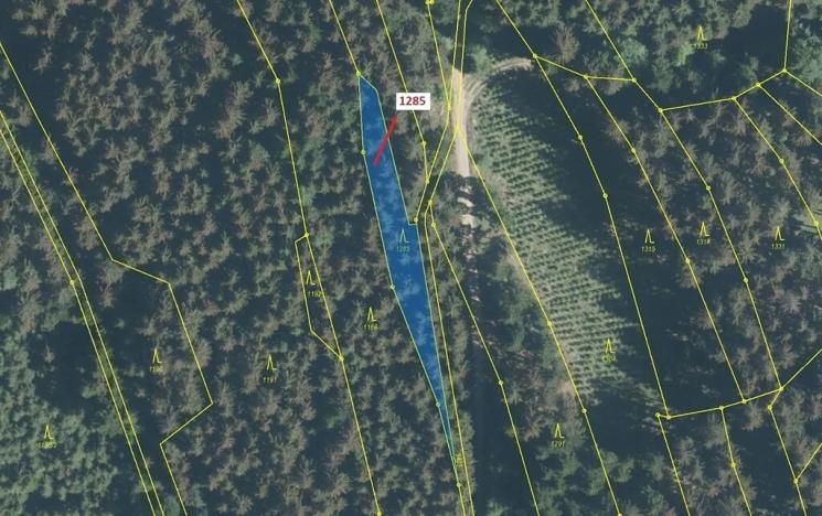 Dražba lesa, Lačnov, 849 m2