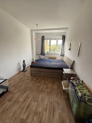 Prodej bytu 1+1, Praha - Braník, Na Mlejnku, 52 m2