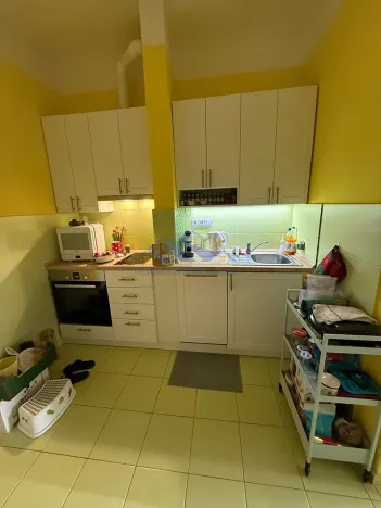 Prodej bytu 1+1, Praha - Braník, Na Mlejnku, 52 m2