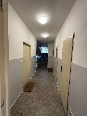 Prodej bytu 1+1, Praha - Braník, Na Mlejnku, 52 m2