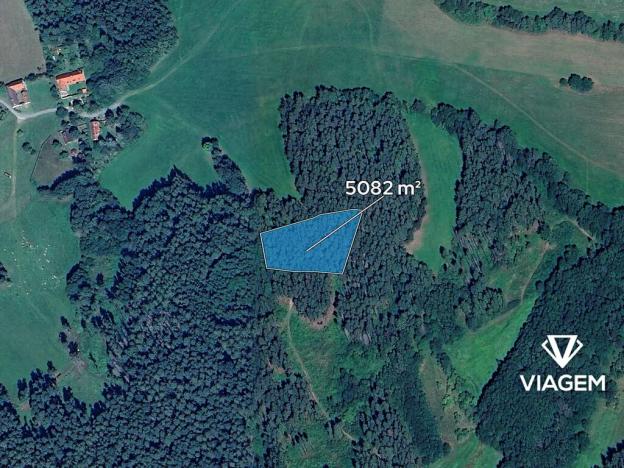 Prodej podílu lesa, Volyně, 1129 m2