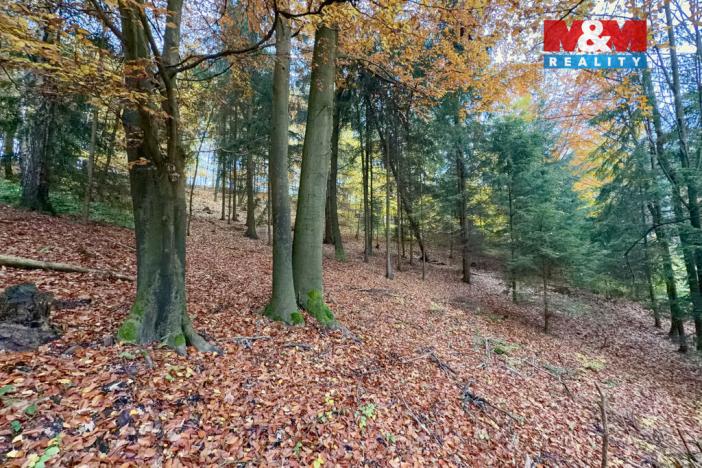 Prodej lesa, Jestřebí, 6855 m2