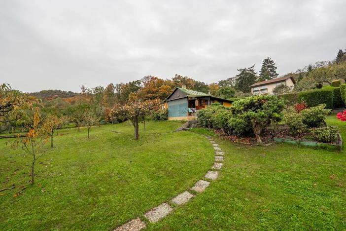 Prodej chaty, Dolany nad Vltavou, V Borovičkách, 48 m2