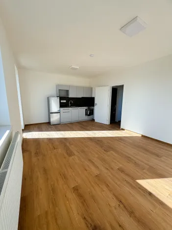 Pronájem ubytování, Slavkov u Brna, U Mlýna, 1320 m2