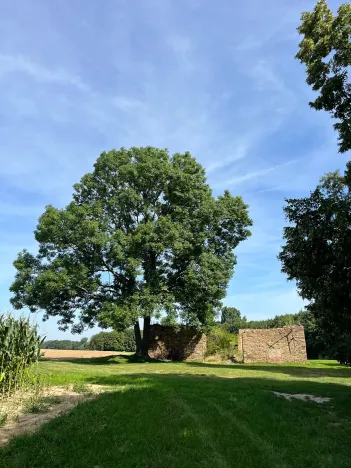 Prodej chalupy, Ratboř, 161 m2