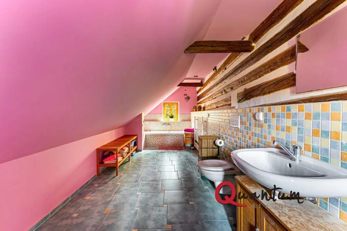 Prodej ubytování, Ždírec, 336 m2