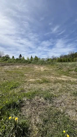 Prodej pozemku pro bydlení, Králíky, 1001 m2