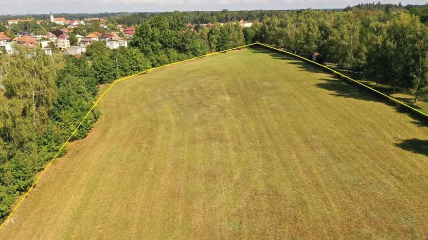 Prodej pozemku, Lázně Bohdaneč, Pod Břízami, 8173 m2