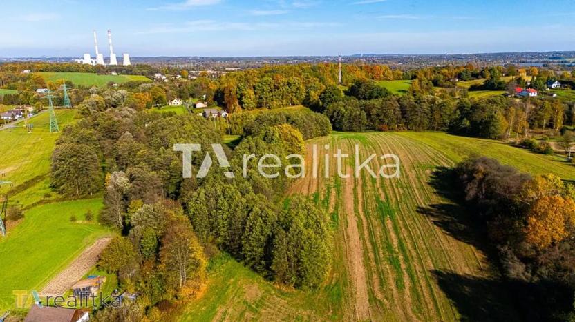 Prodej pole, Dětmarovice, 53698 m2