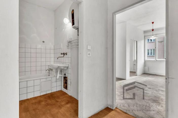 Prodej bytu 1+1, Praha - Nusle, Družstevní, 50 m2