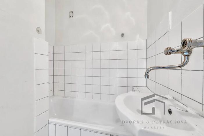 Prodej bytu 1+1, Praha - Nusle, Družstevní, 50 m2