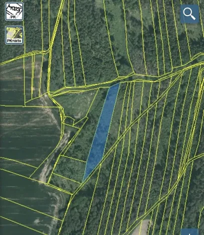 Dražba lesa, Blížejov, 4481 m2