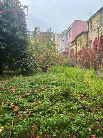 Prodej bytu 2+kk, Brno, Jiráskova, 35 m2