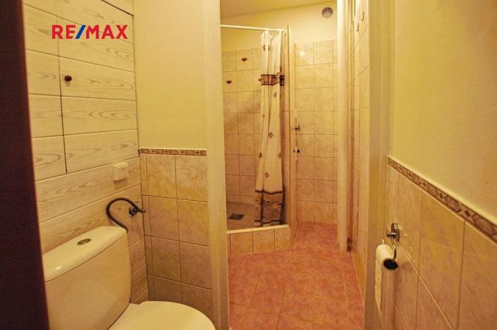 Pronájem bytu 1+1, Plzeň, Krejčíkova, 42 m2