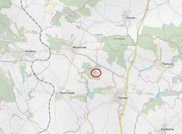 Prodej lesa, Výčapy, 1459 m2