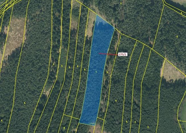 Dražba lesa, Psárov, 15717 m2