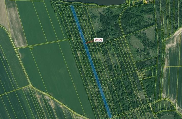 Dražba lesa, Břehov, 20146 m2