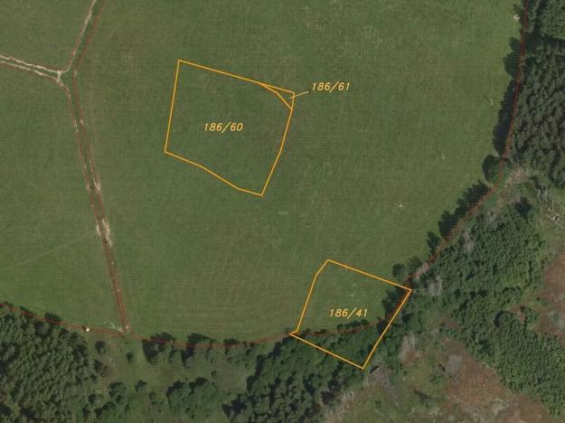 Dražba louky, Benešov, 9944 m2