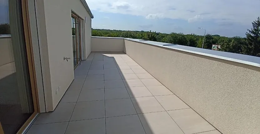 Pronájem bytu 3+kk, Olomouc, Frištenského, 110 m2