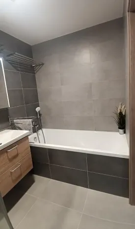 Pronájem bytu 3+kk, Olomouc, Frištenského, 110 m2