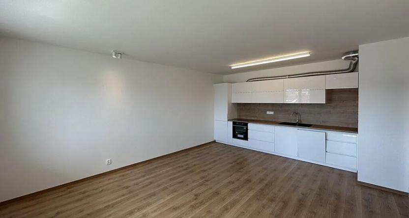 Pronájem bytu 3+kk, České Budějovice, Fr. Škroupa, 69 m2