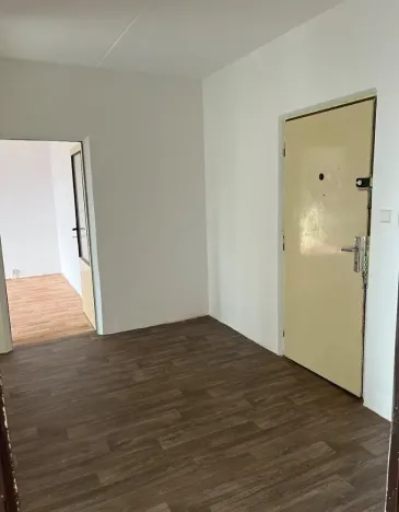 Prodej bytu 2+1, Plzeň, Elišky Krásnohorské, 62 m2