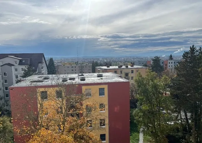 Prodej bytu 2+1, Plzeň, Elišky Krásnohorské, 62 m2